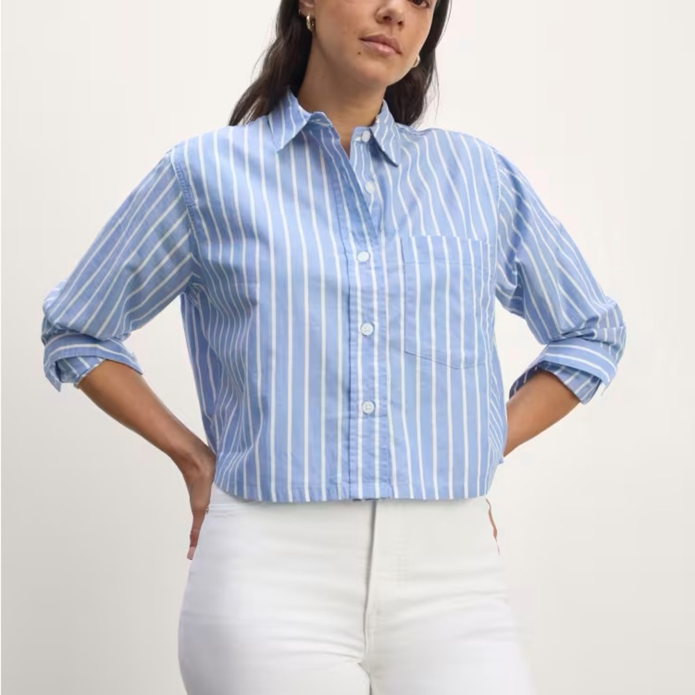 Everlane Blue and White Striped Button Down Shirt